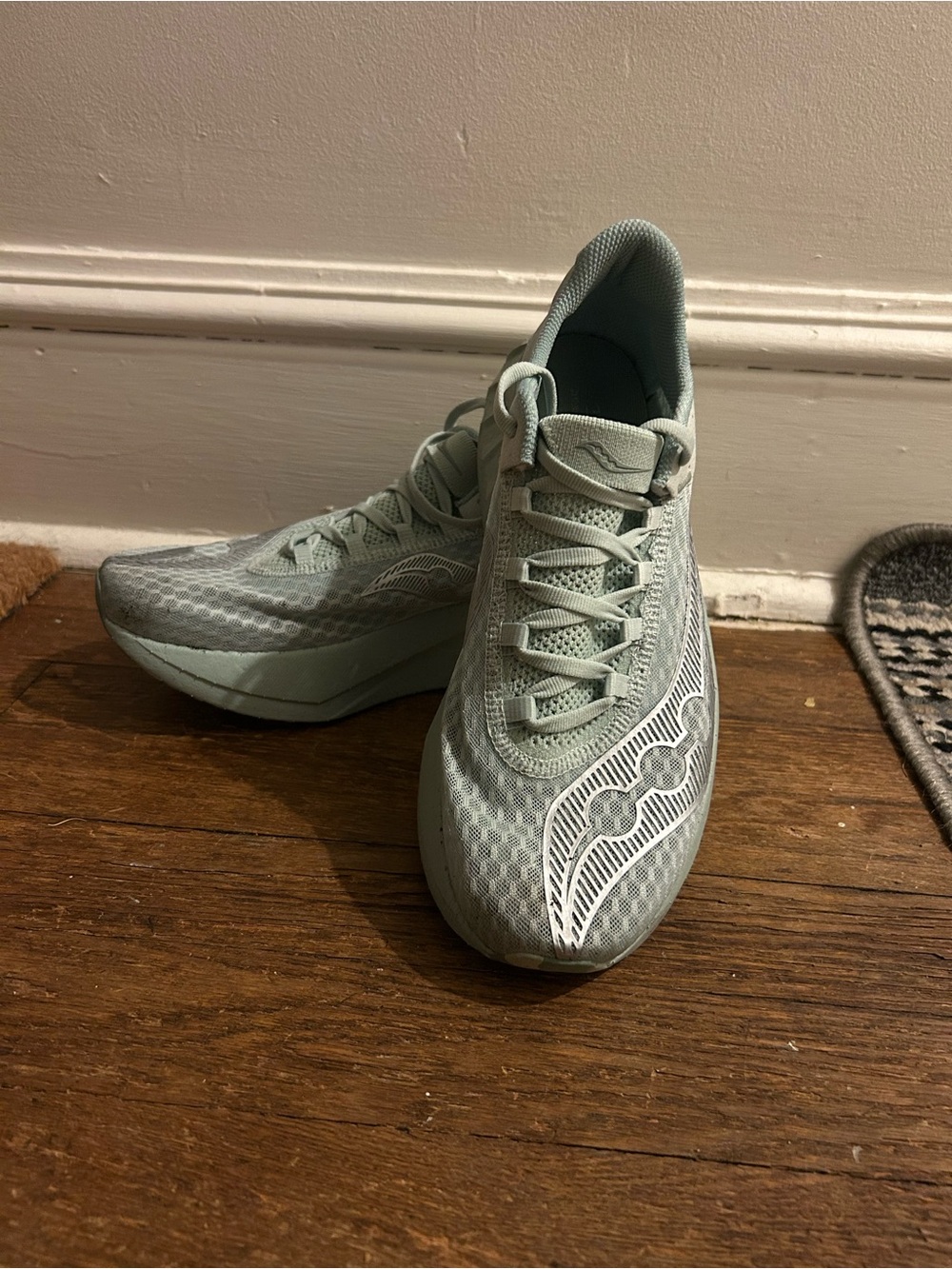 Saucony Women's Endorphin Pro 4